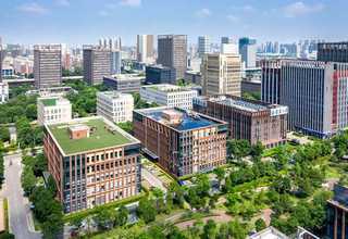 新疆有没有马有布牛肉面