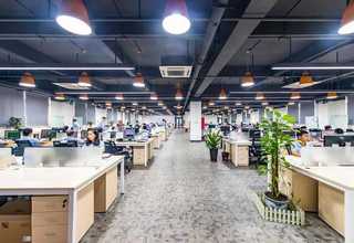 可比克纸罐报价