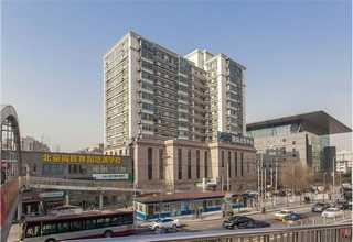 山东35岁男脱发怎么办