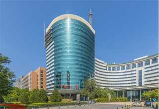 干燥网带炉供应厂家