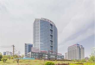 汉南区本地苗木种子销售生产技术